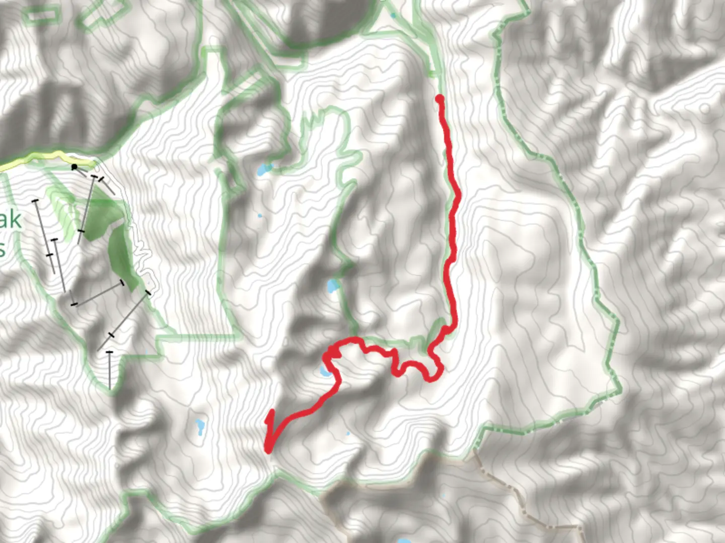 An image depicting the trail Mount Walter and Horseshoe Lake and its surrounding area.