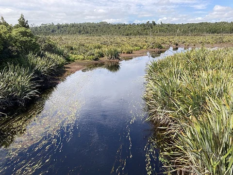 Mananui Tramline - Mahinapua Walkway