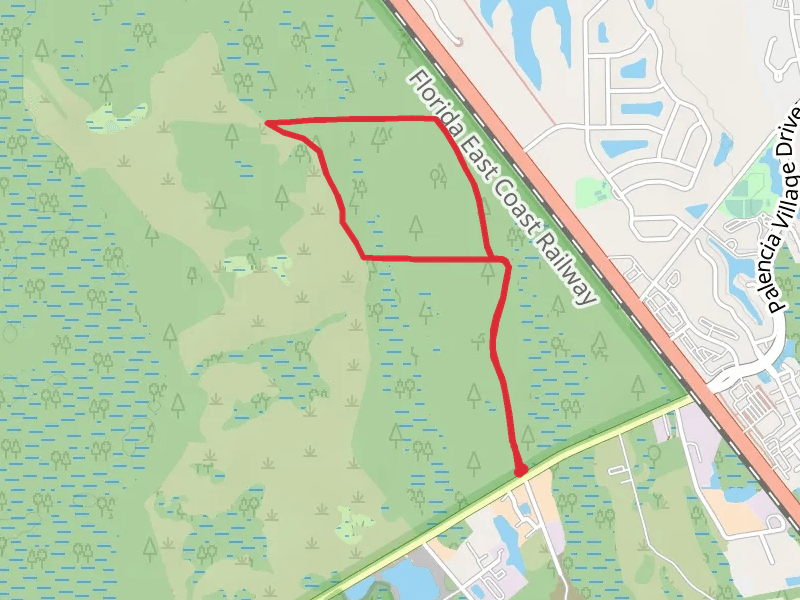 Twelve Mile Swamp and Conservation Area Loop Trail