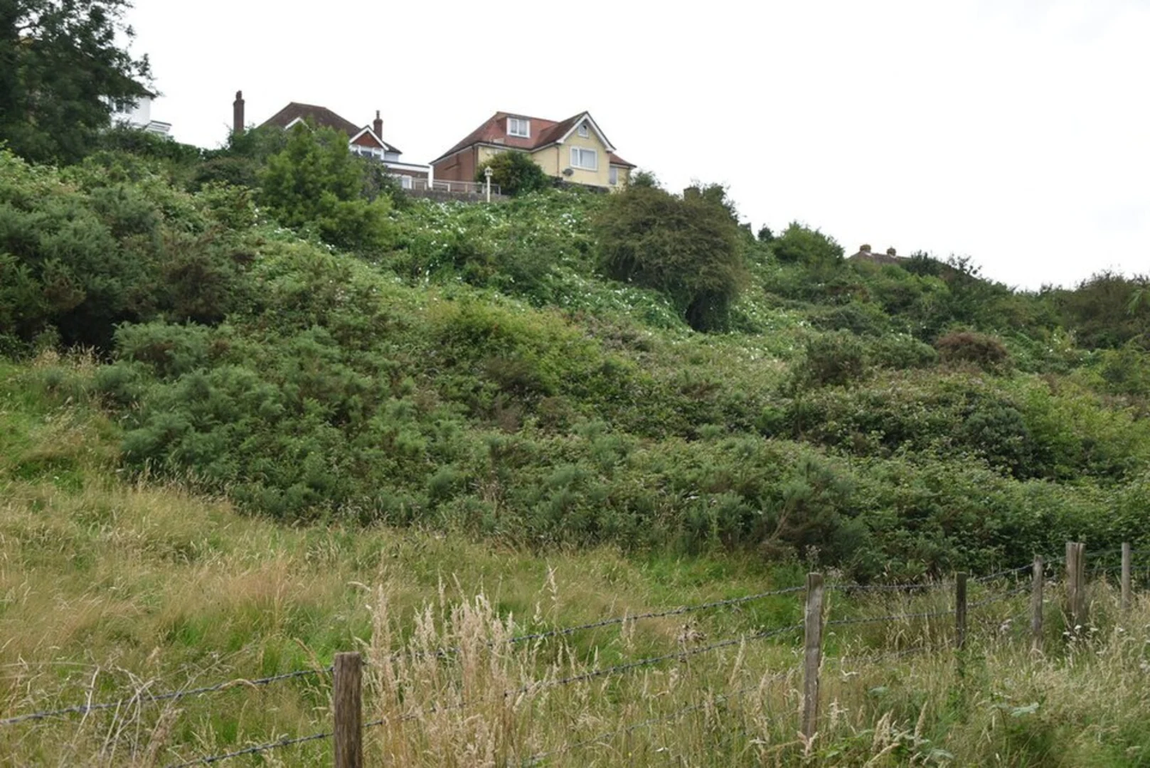 An image depicting the trail Winchelsea to Rye Circular Walk via River Brede and its surrounding area.