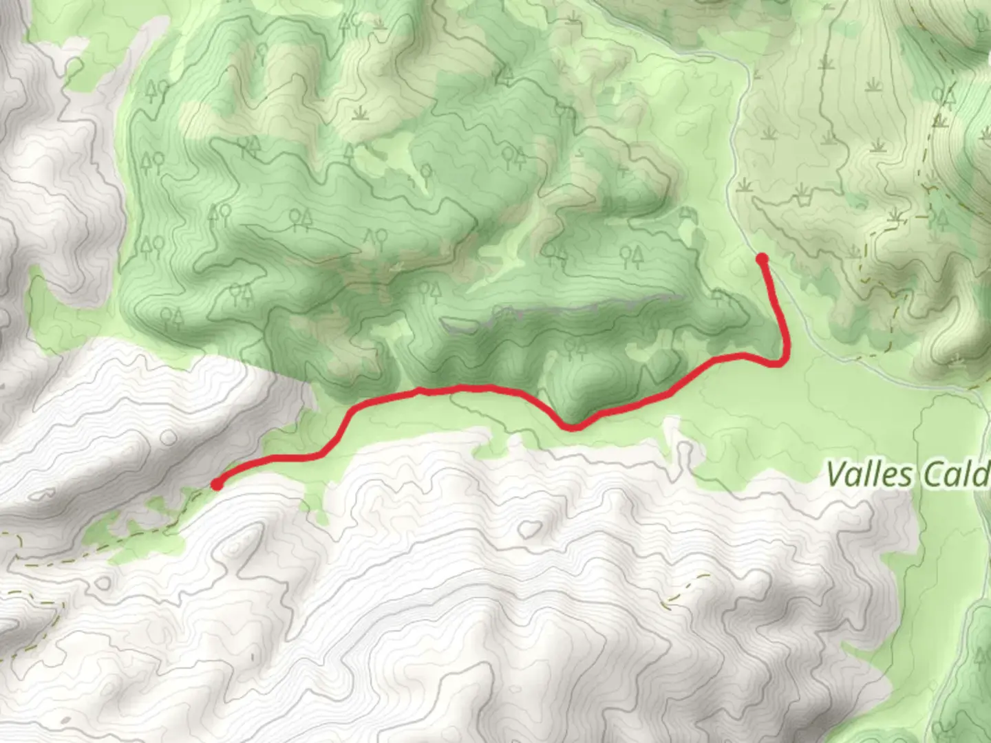 An image depicting the trail Jaramillo Creek Walk along and its surrounding area.