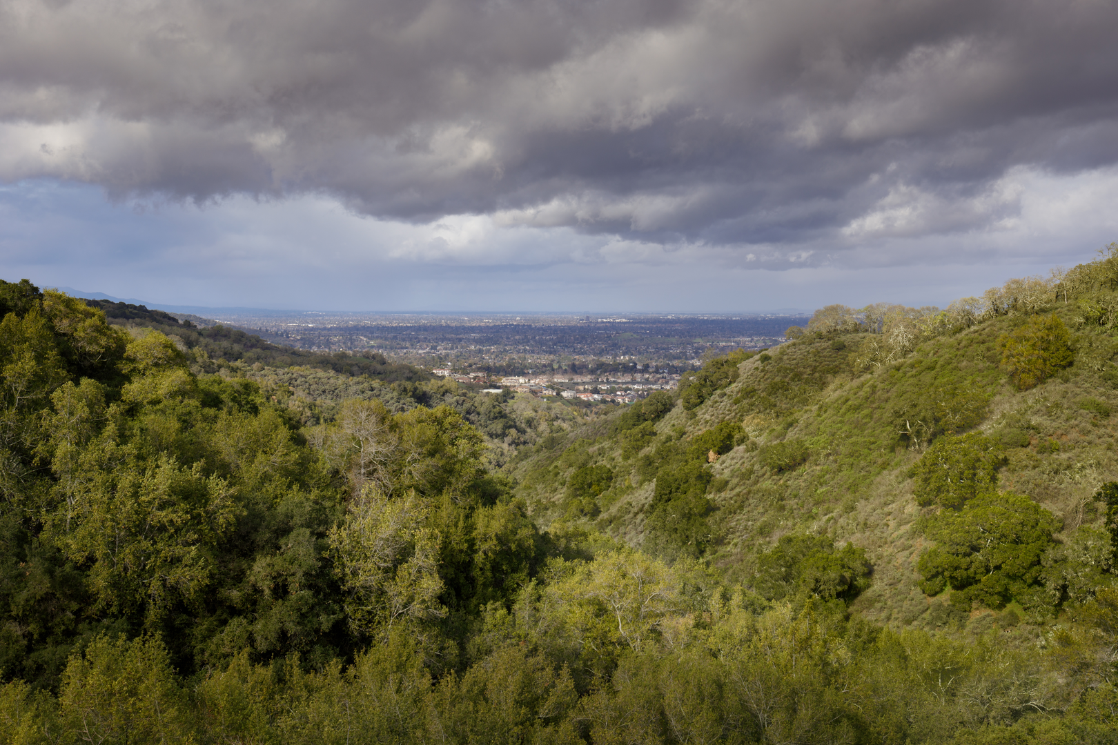 An image depicting the trail New Almaden, Mine Hill and Guadalupe Loop Trail and its surrounding area.