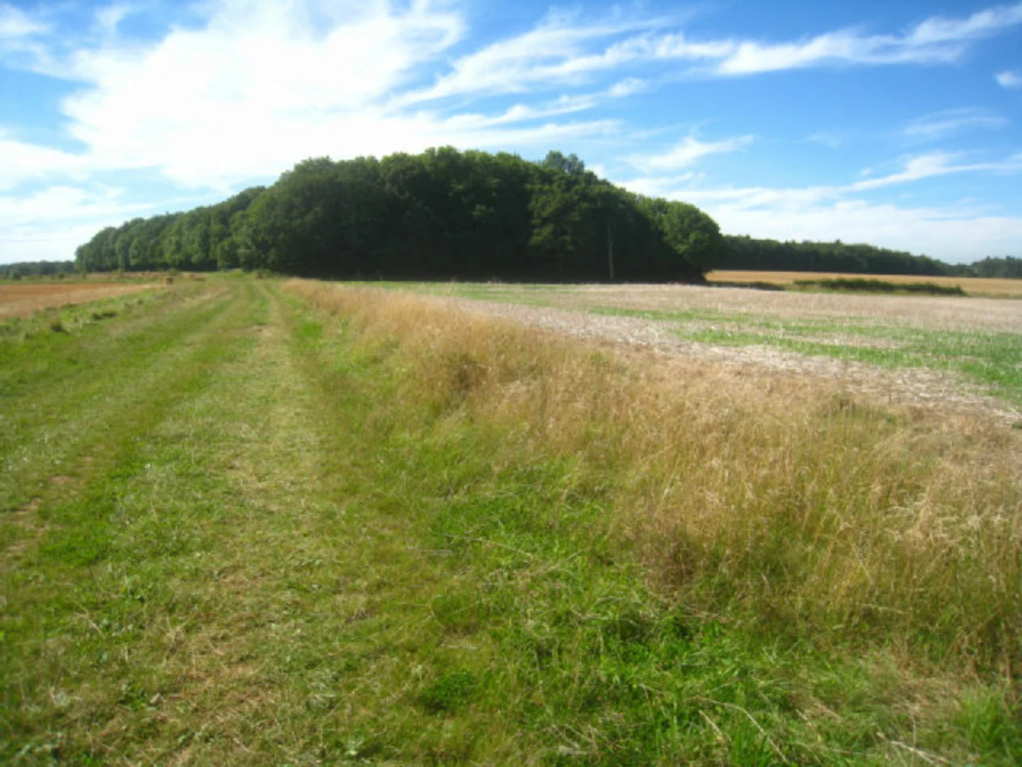 An image depicting the trail Overton, Quidhampton and East Oakley Loop and its surrounding area.