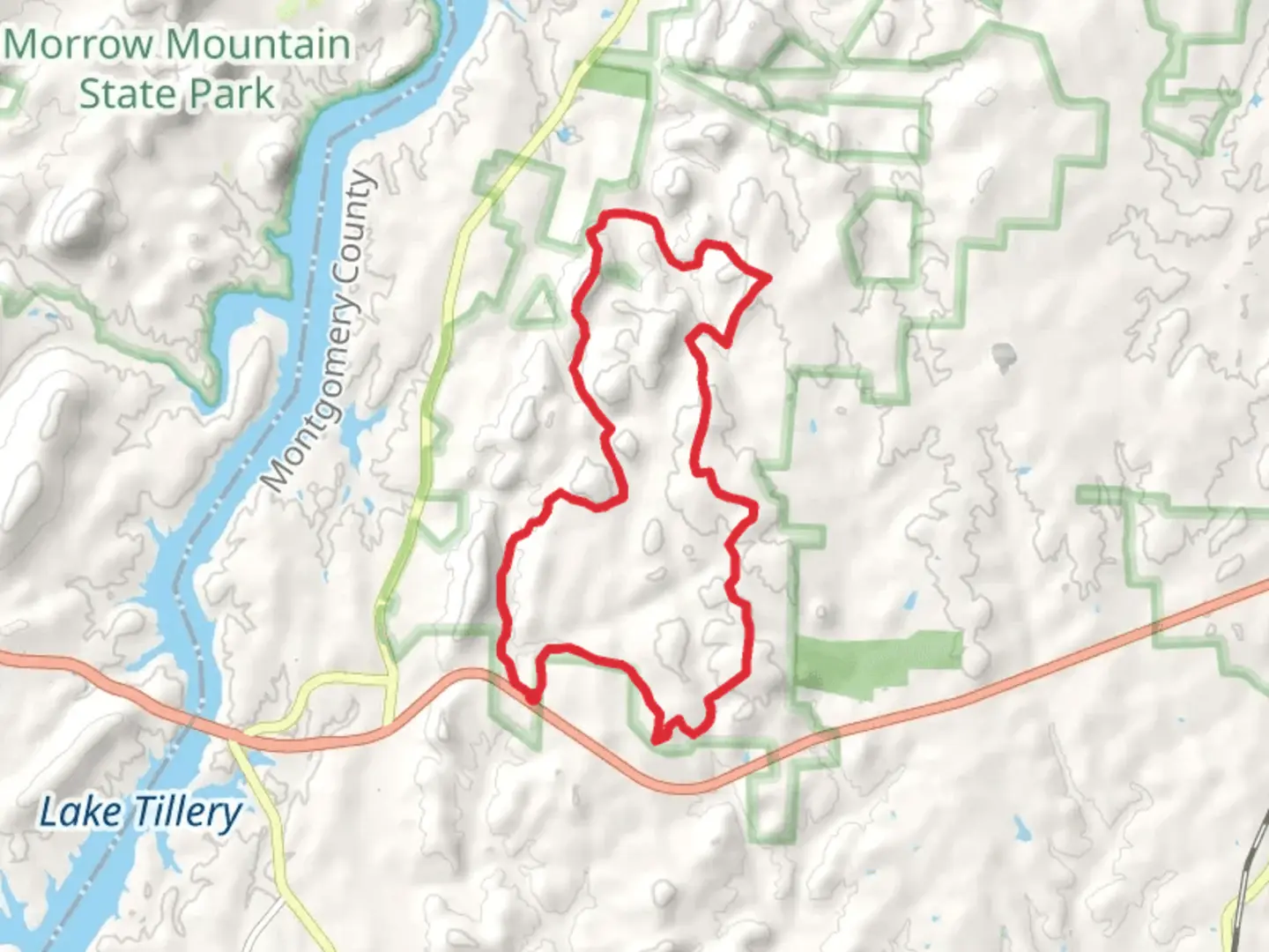 An image depicting the trail Uwharrie, Dennis Mountain and Dutchman's Creek Loop Trail and its surrounding area.
