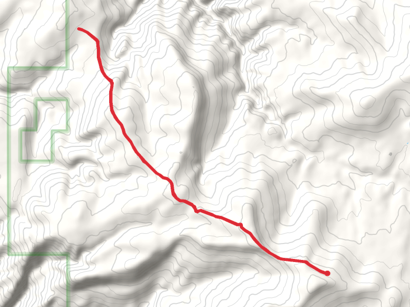 Mexican Hill