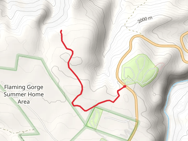 Bear Canyon Bootleg