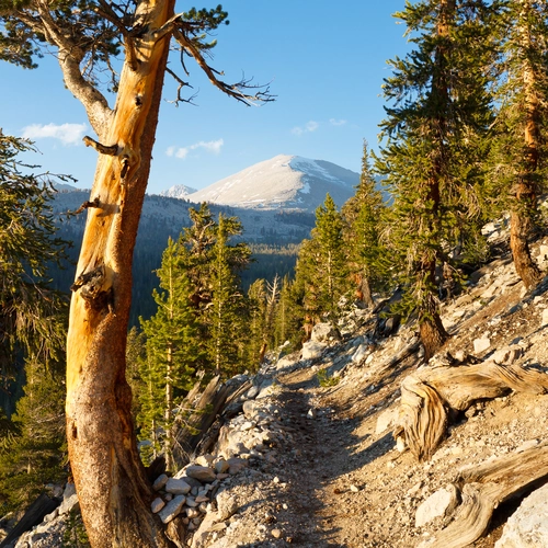 John Muir Trail