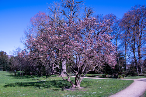 Wiesenweg