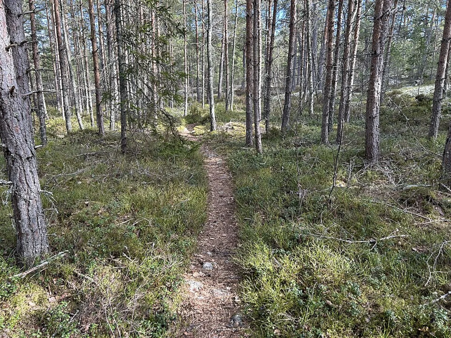 An image depicting the trail Stockholm Archipelago Trail - Yxlan and its surrounding area.