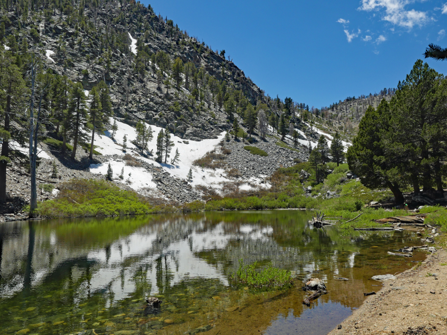 An image depicting the trail Dollar Lake via Poopout Hill and its surrounding area.