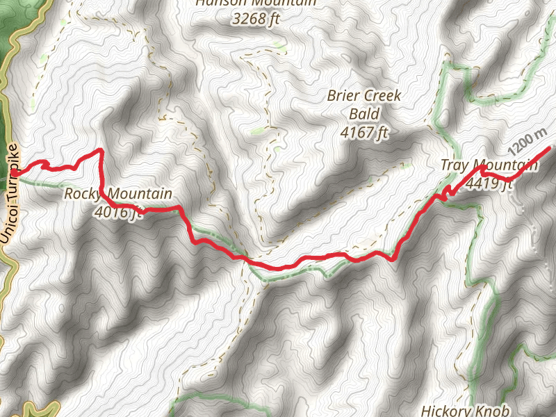 Tray Mountain Shelter Trail