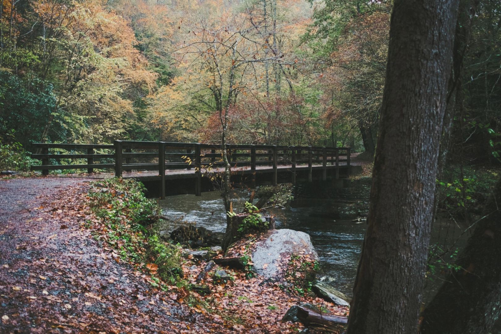 An image depicting the trail Juney Whank Falls Trail and its surrounding area.