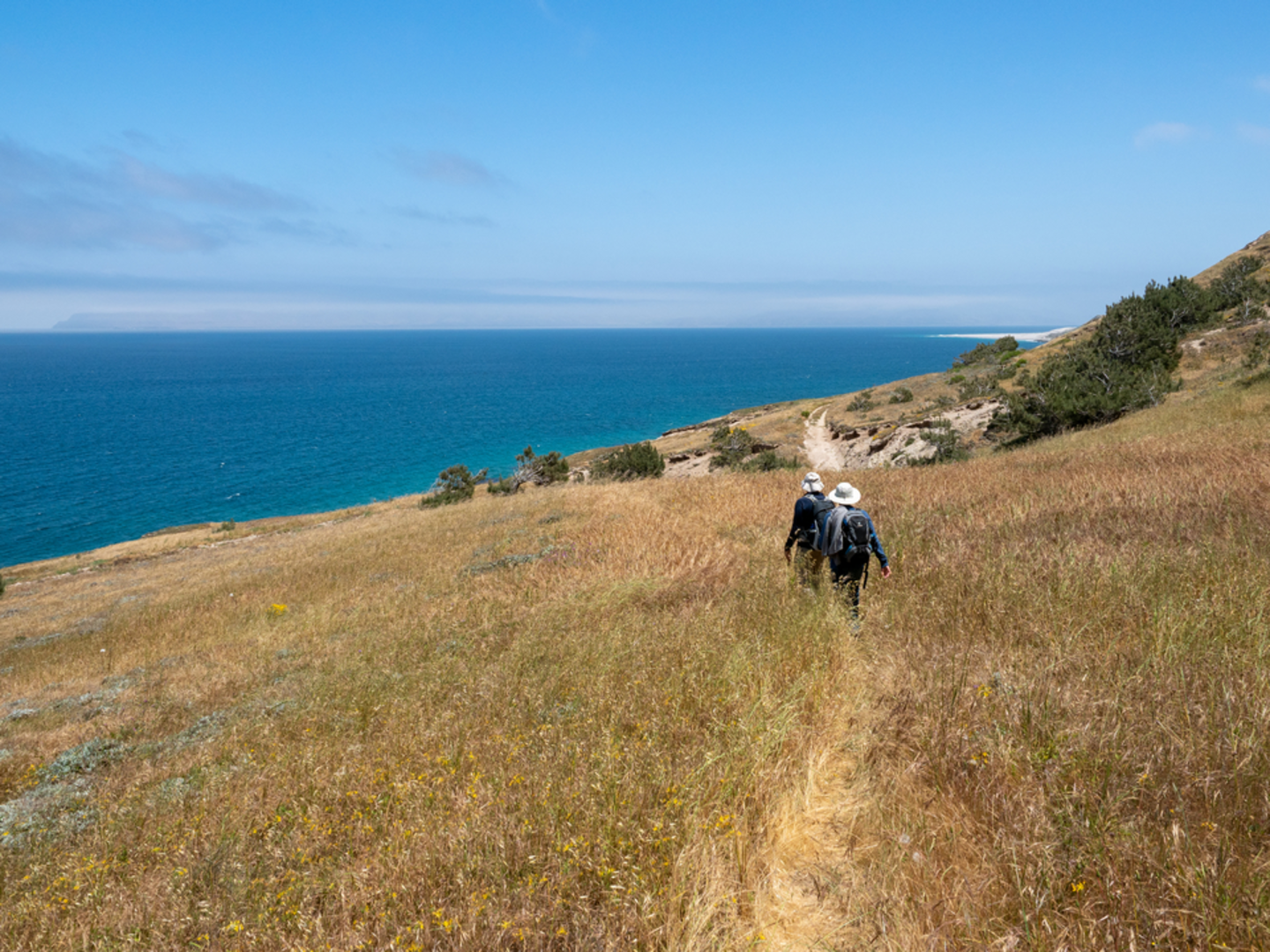 An image depicting the trail Black Mountain via Main Road Trail and its surrounding area.