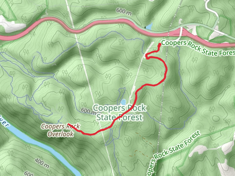 Roadside Trail