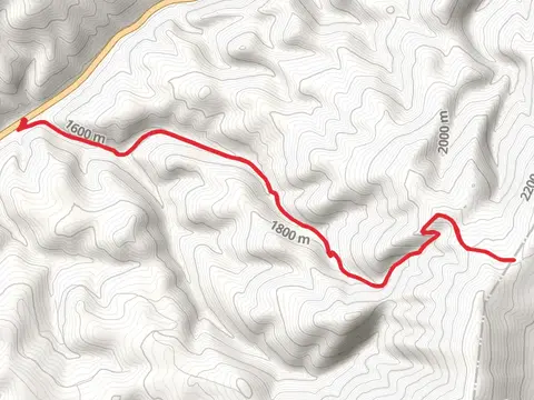 Cedar Bar Falkner Trail