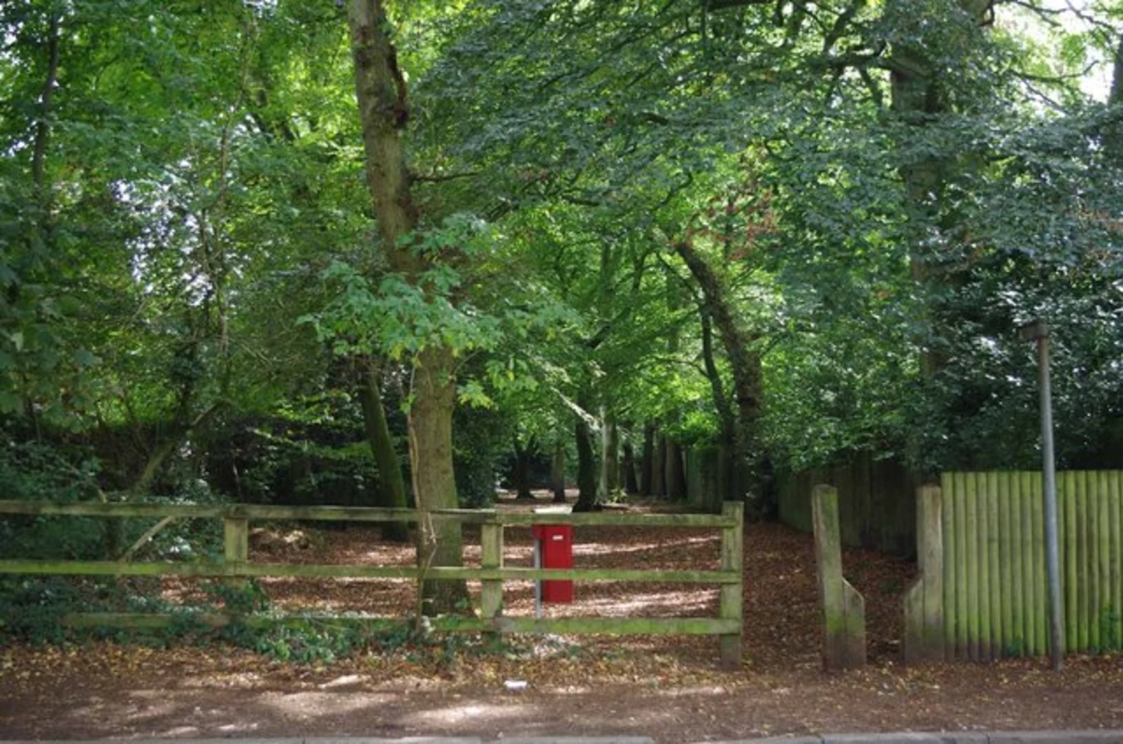 An image depicting the trail Windmill Wood in Toft Country Park and its surrounding area.