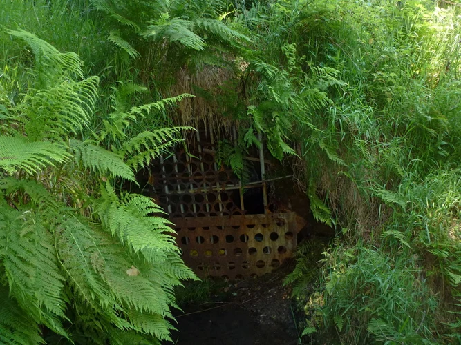 Gorpley Clough and Gorpley Reservoir Loop