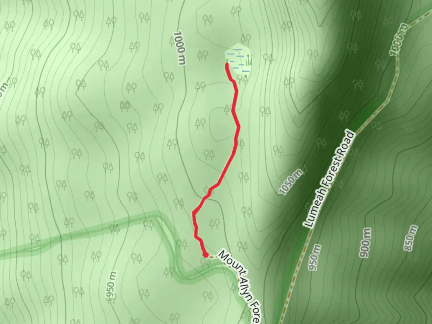 An image depicting the trail Burraga Swamp Track and its surrounding area.