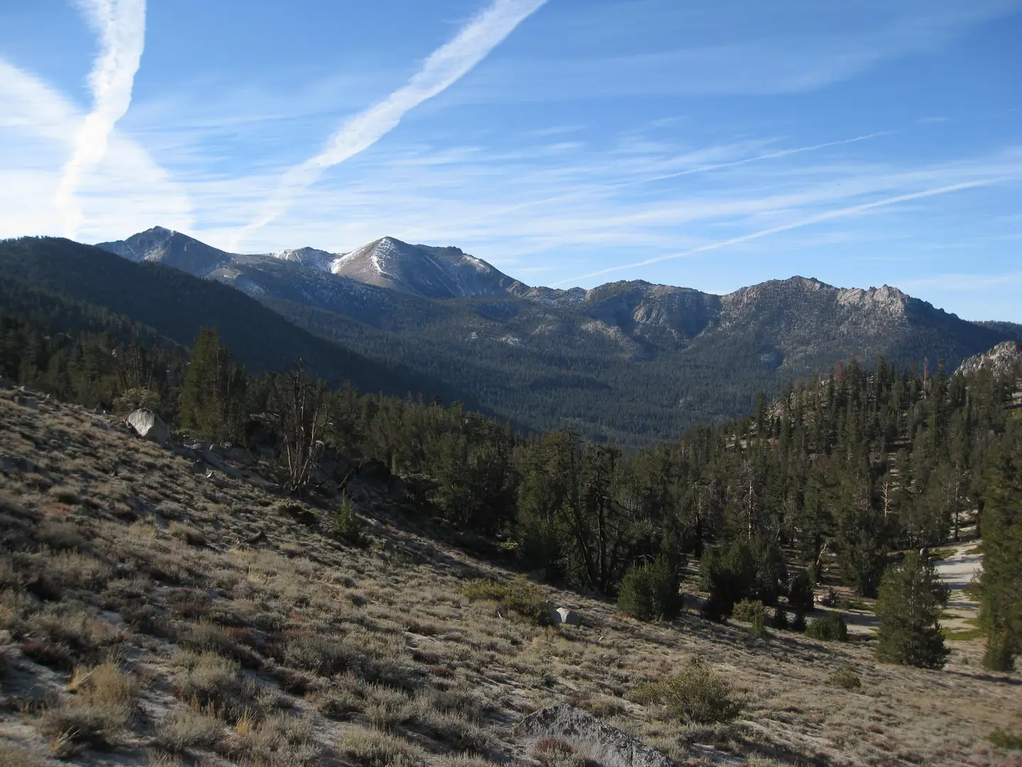 An image depicting the trail Star Lake and Cold Creek Loop Trail and its surrounding area.