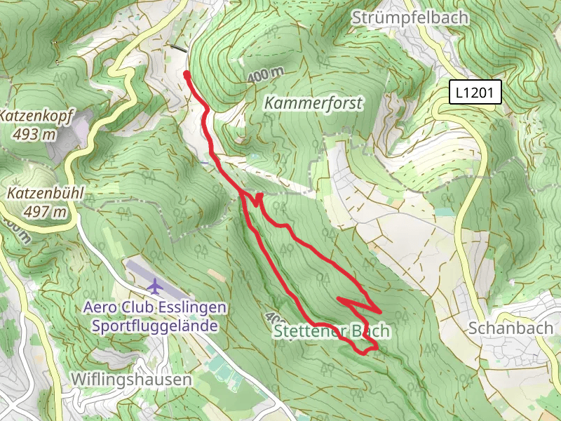Stettener Bachweg and Saurainsträssle Loop