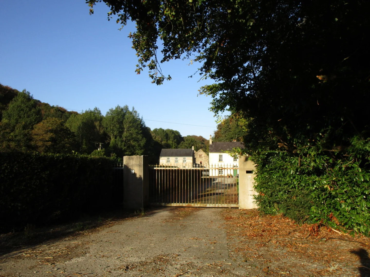 An image depicting the trail Brownscastle Woods Trail and its surrounding area.