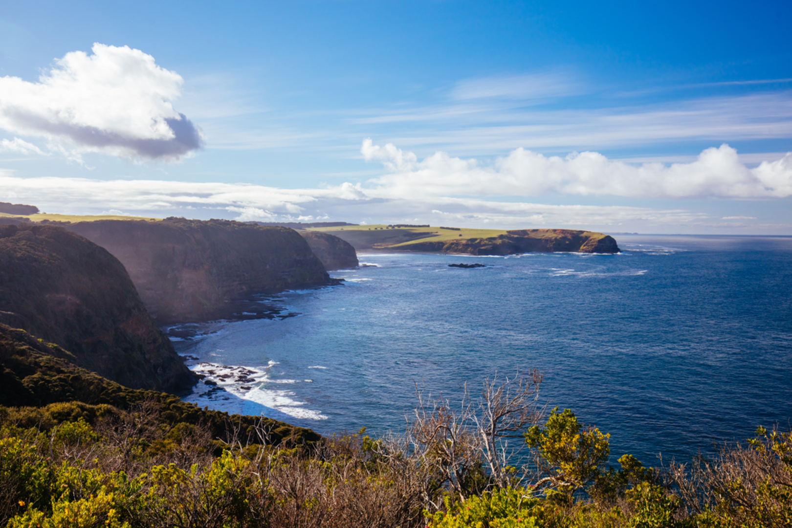 An image depicting the trail Bushrangers Bay and Gunnamatta Trail and its surrounding area.