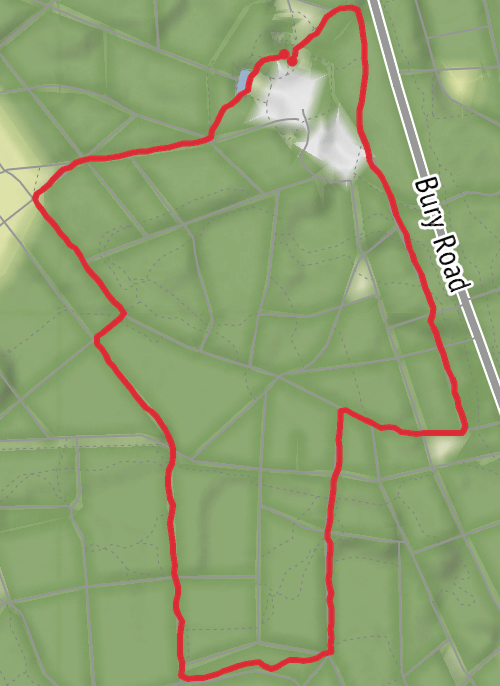 Hike on Brandon Country Park Loop mobile static map