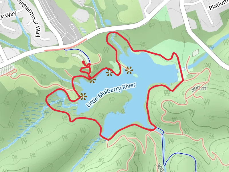 Miller Lake Trail from Hog Mountain Road