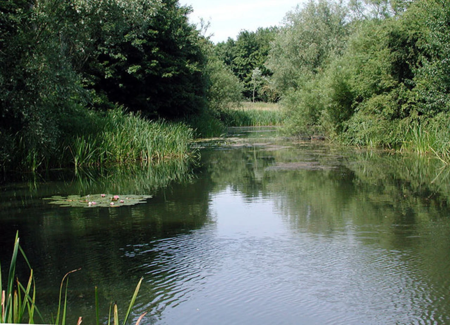 An image depicting the trail Queen Eleanor Garden and Ouse Valley Park Loop and its surrounding area.