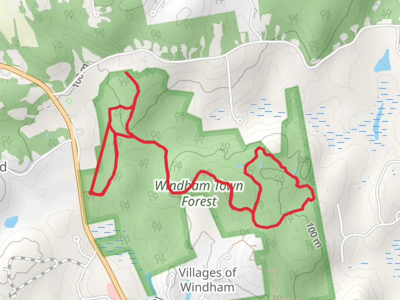 Pverlook Ledge and Red Square Trail Loop - Windham Town Forest