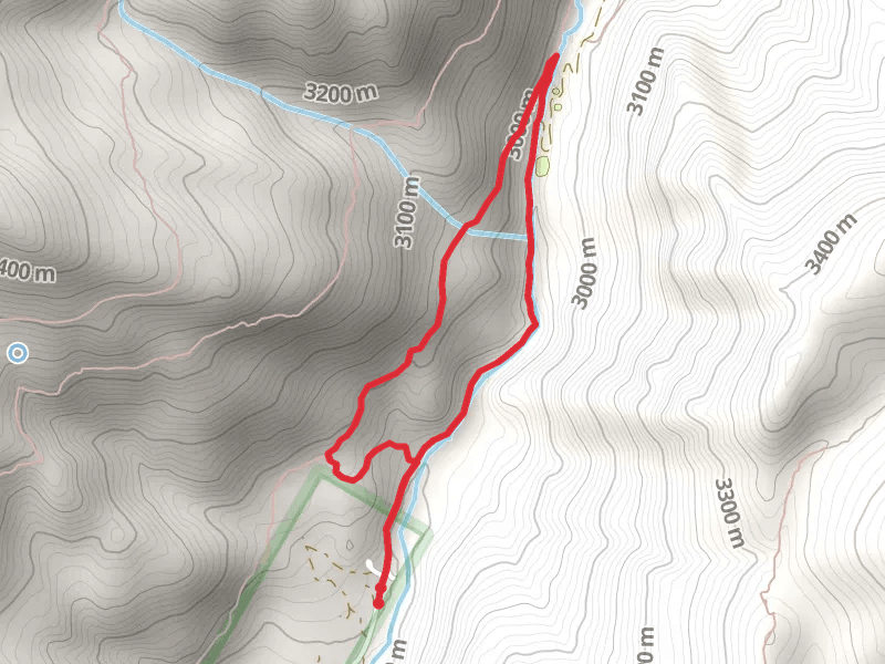 Cement Creek Loop