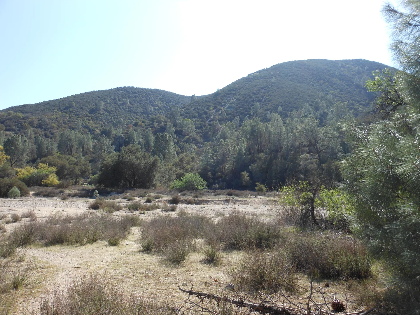 An image depicting the trail Chalone Creek via Bench Trail and South Wilderness Trail and its surrounding area.