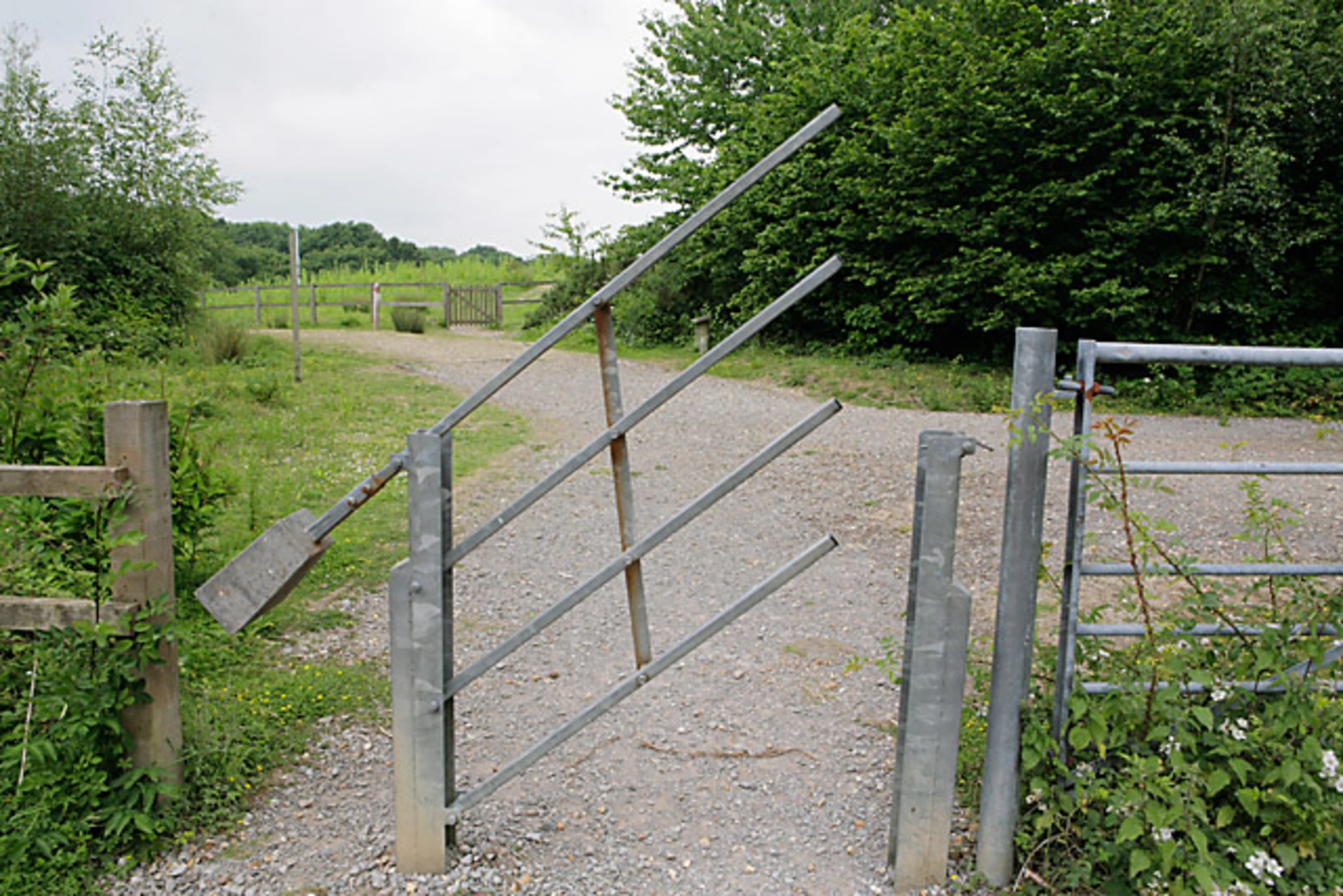 An image depicting the trail Centre Lake, Ben's Lake, New Lake and Swanwick Wood Loop and its surrounding area.