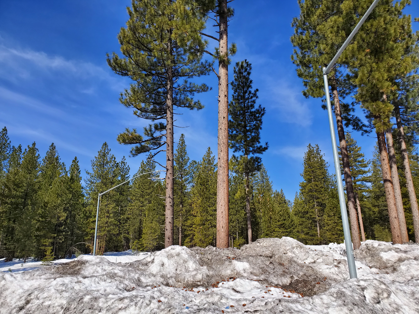 An image depicting the trail Poison Lake Trail and its surrounding area.