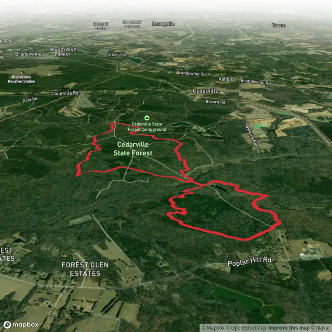 An image depicting the trail Cedarville Pond via Blue Trail and Brown Trail and its surrounding area.