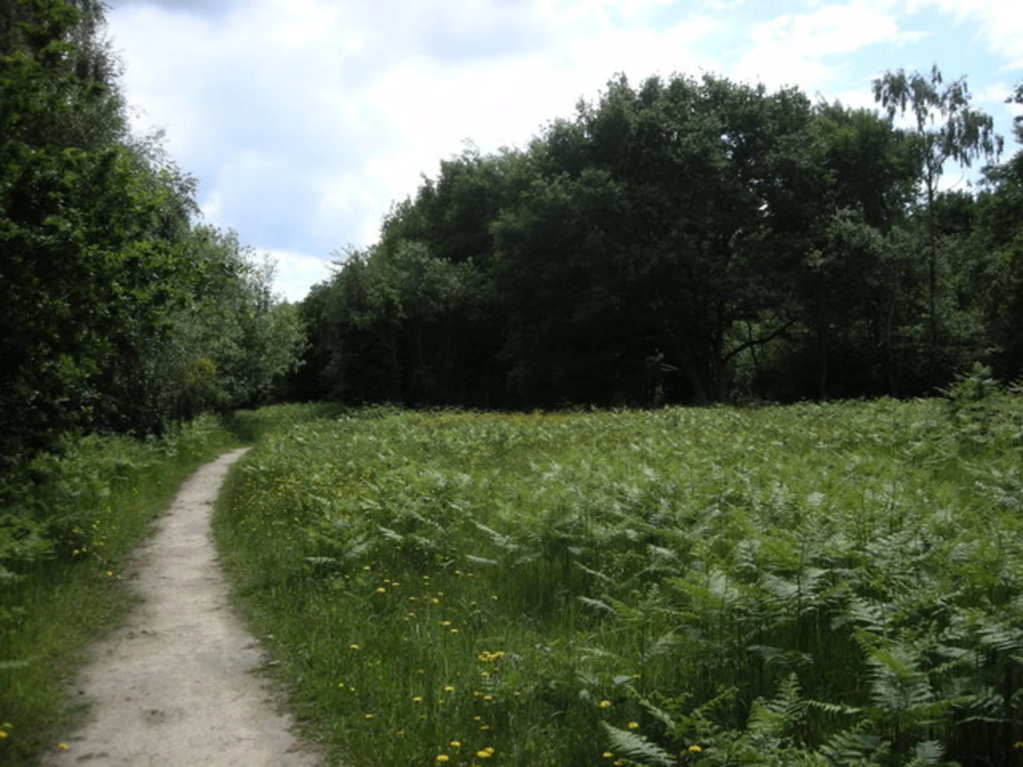An image depicting the trail Ryton Pools Country Park and Wappenbury Wood Loop and its surrounding area.