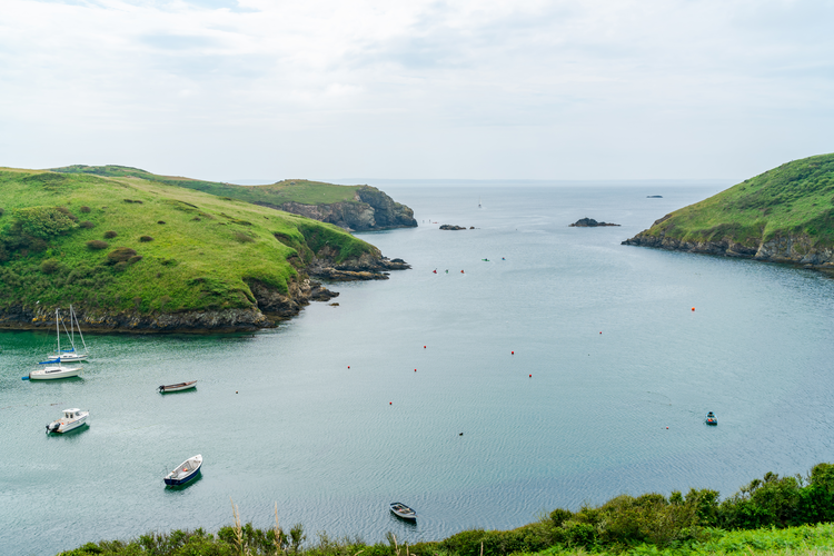 Nine Wells - Solva