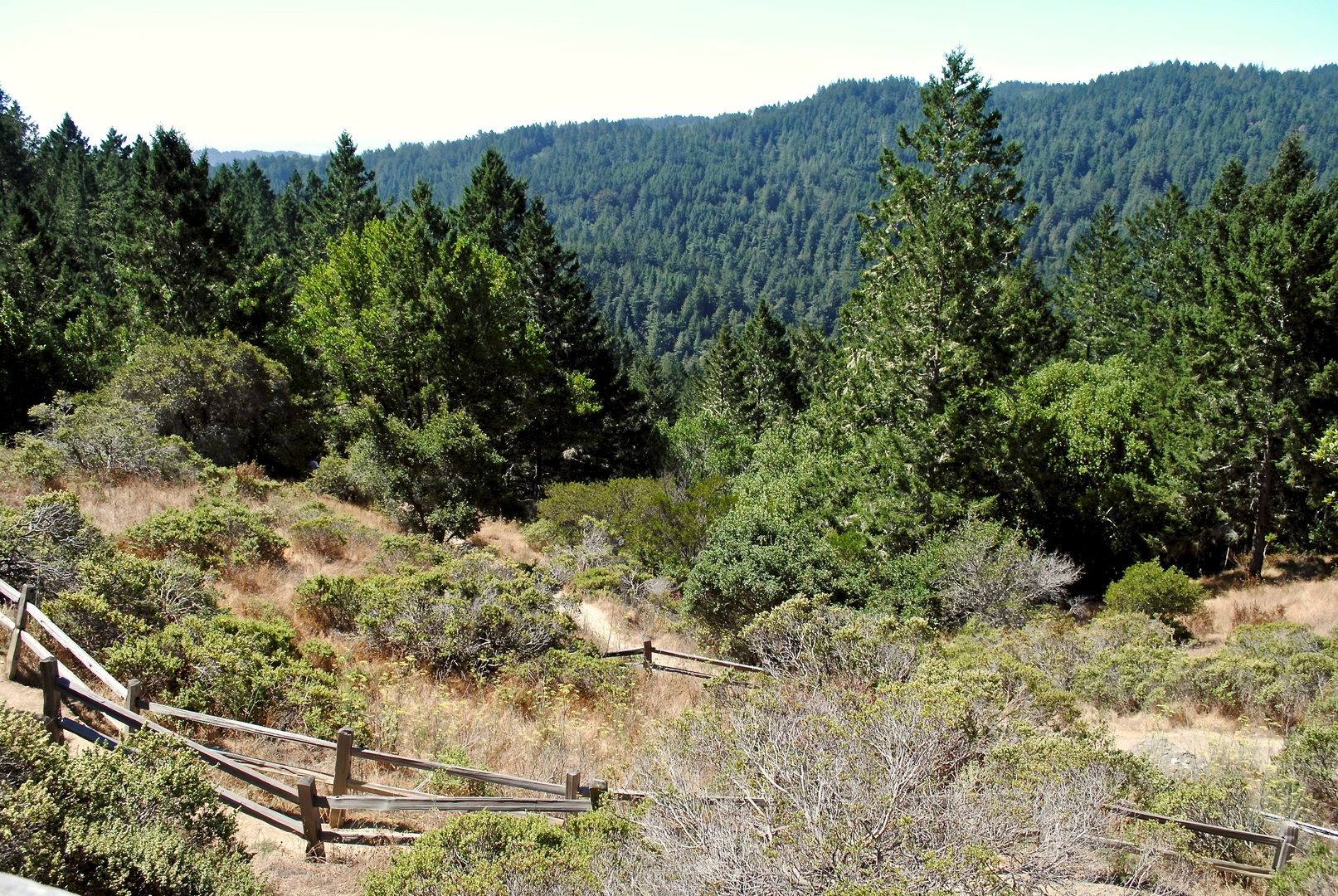 An image depicting the trail Coastal, Cardiac Hill, Steep Ravine and Dipsea Loop Trail and its surrounding area.