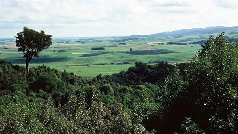 Middle Track
