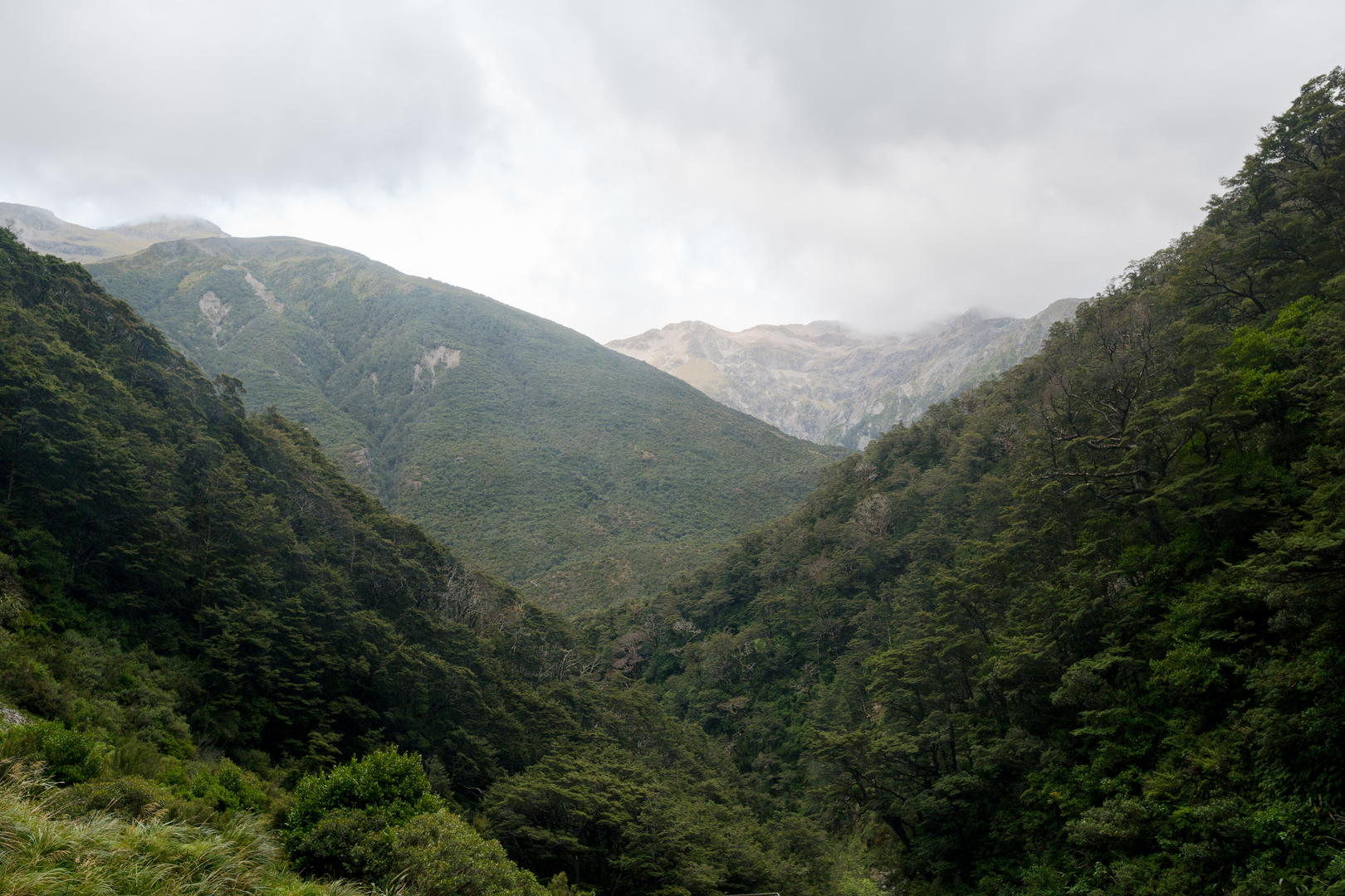 An image depicting the trail Devils Punchbowl Walking Track and its surrounding area.