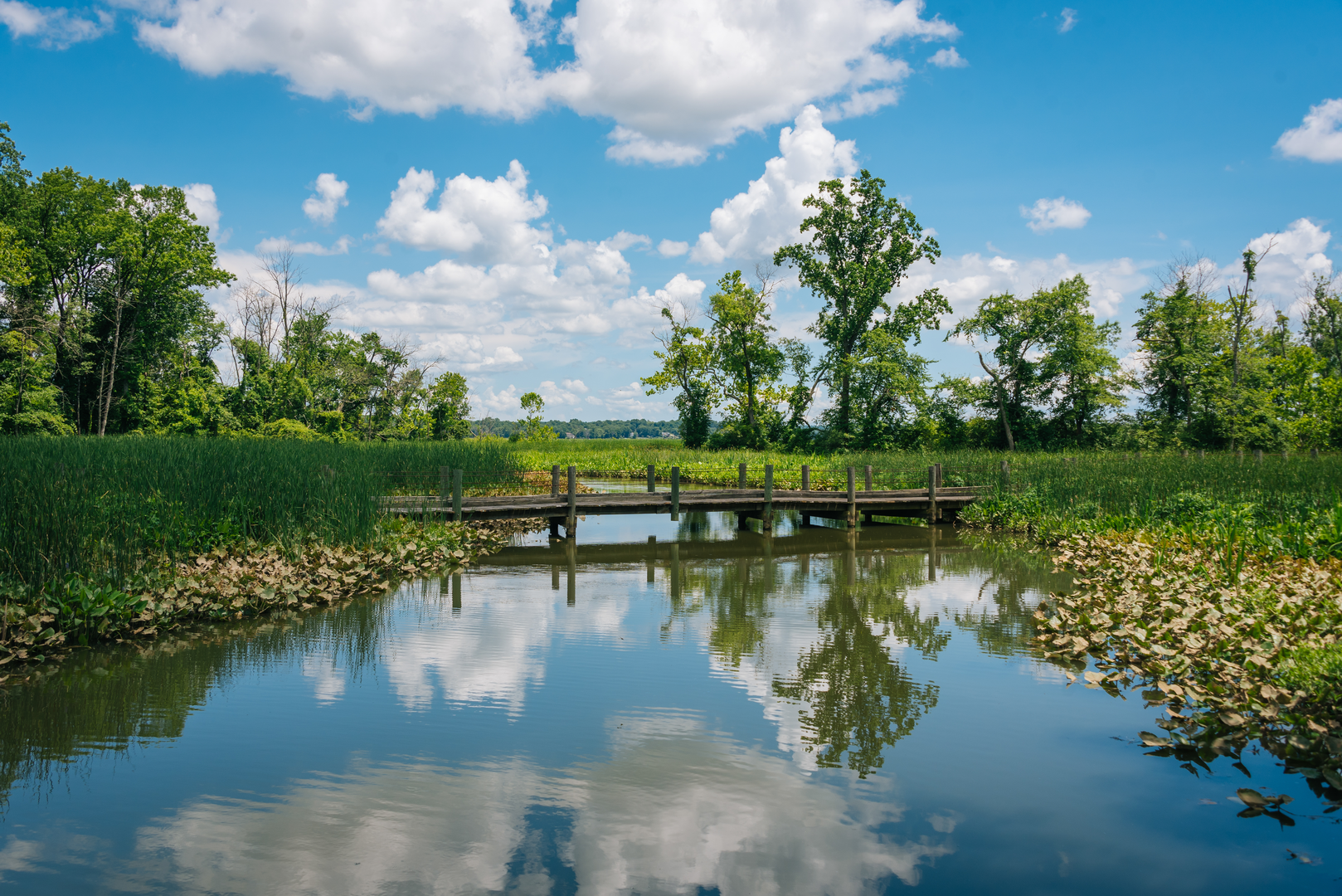 An image depicting the trail Mount Vernon Trail and its surrounding area.