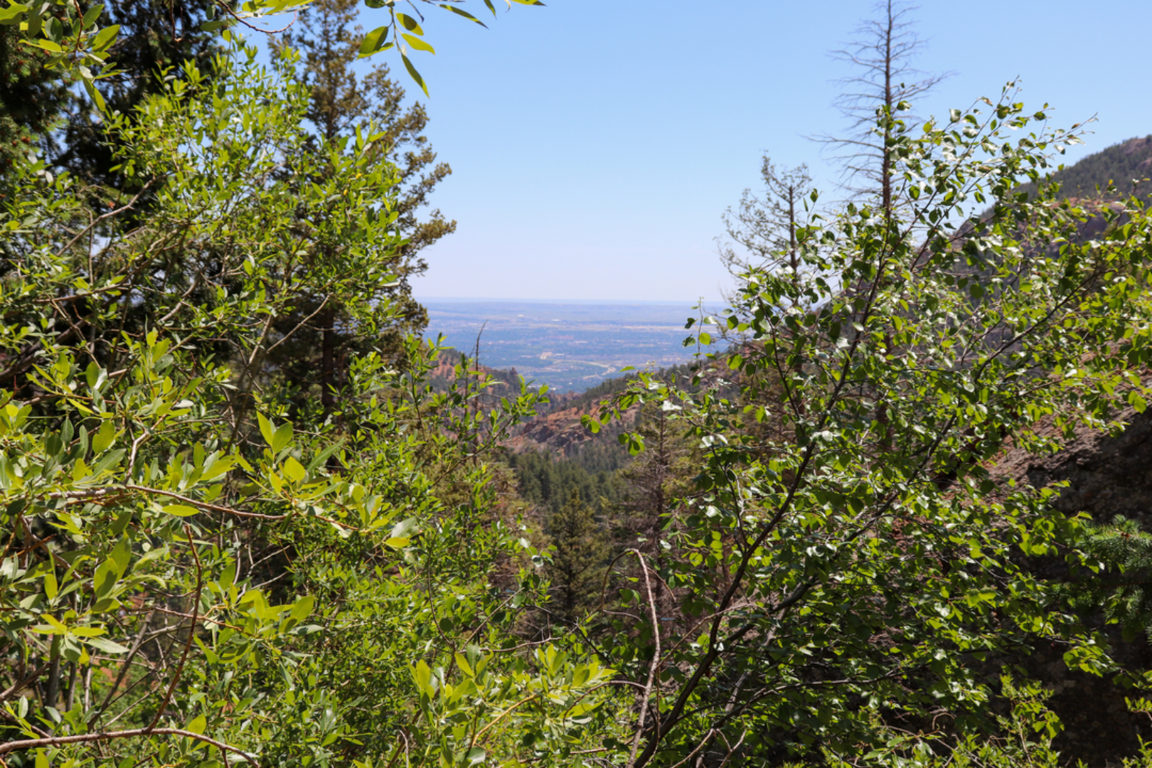 An image depicting the trail St Mary's Falls Trail and its surrounding area.