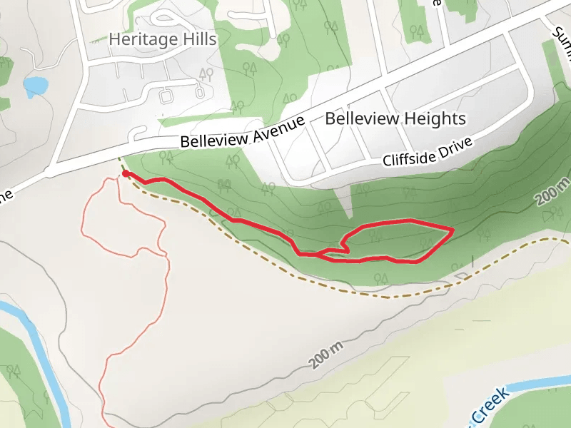Star Brook Loop Trail