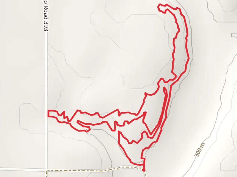 Badger Creek Loop Trail