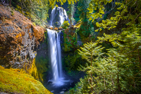 Falls Creek Falls Trail