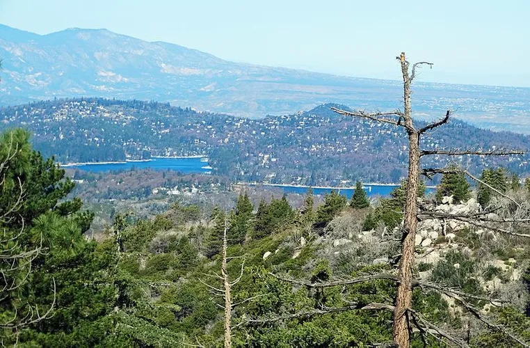 Heaps Peak Arboretum Trail