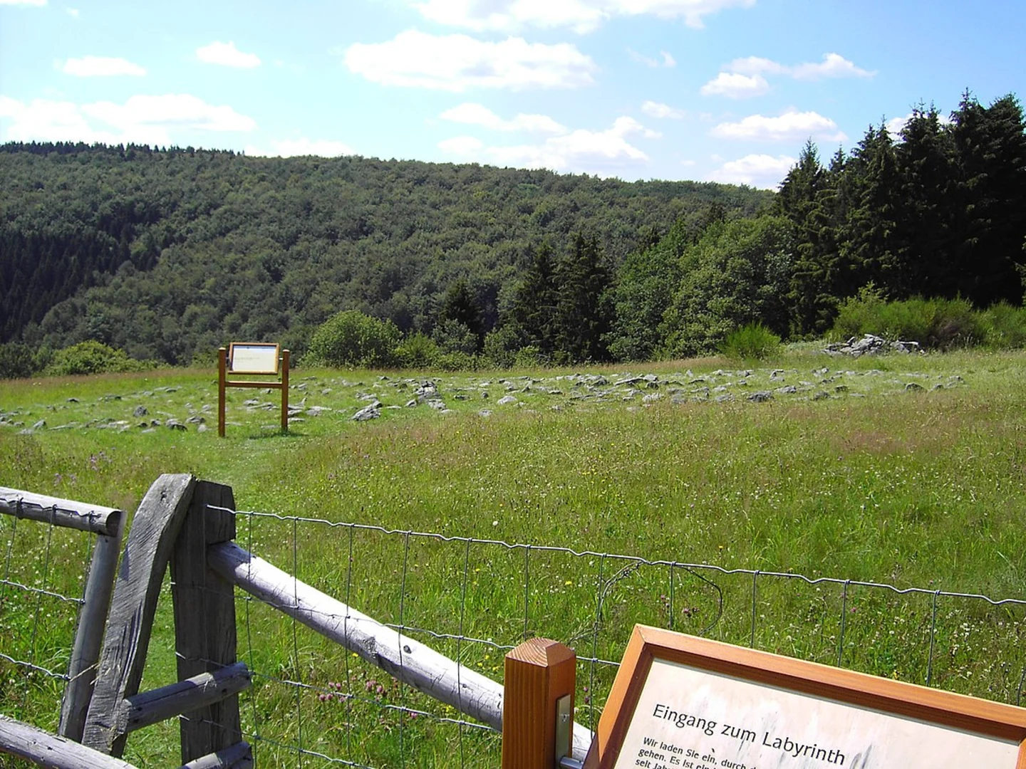 An image depicting the trail LAbyrinth and Müsauelsberg via Rur Olef Route and its surrounding area.