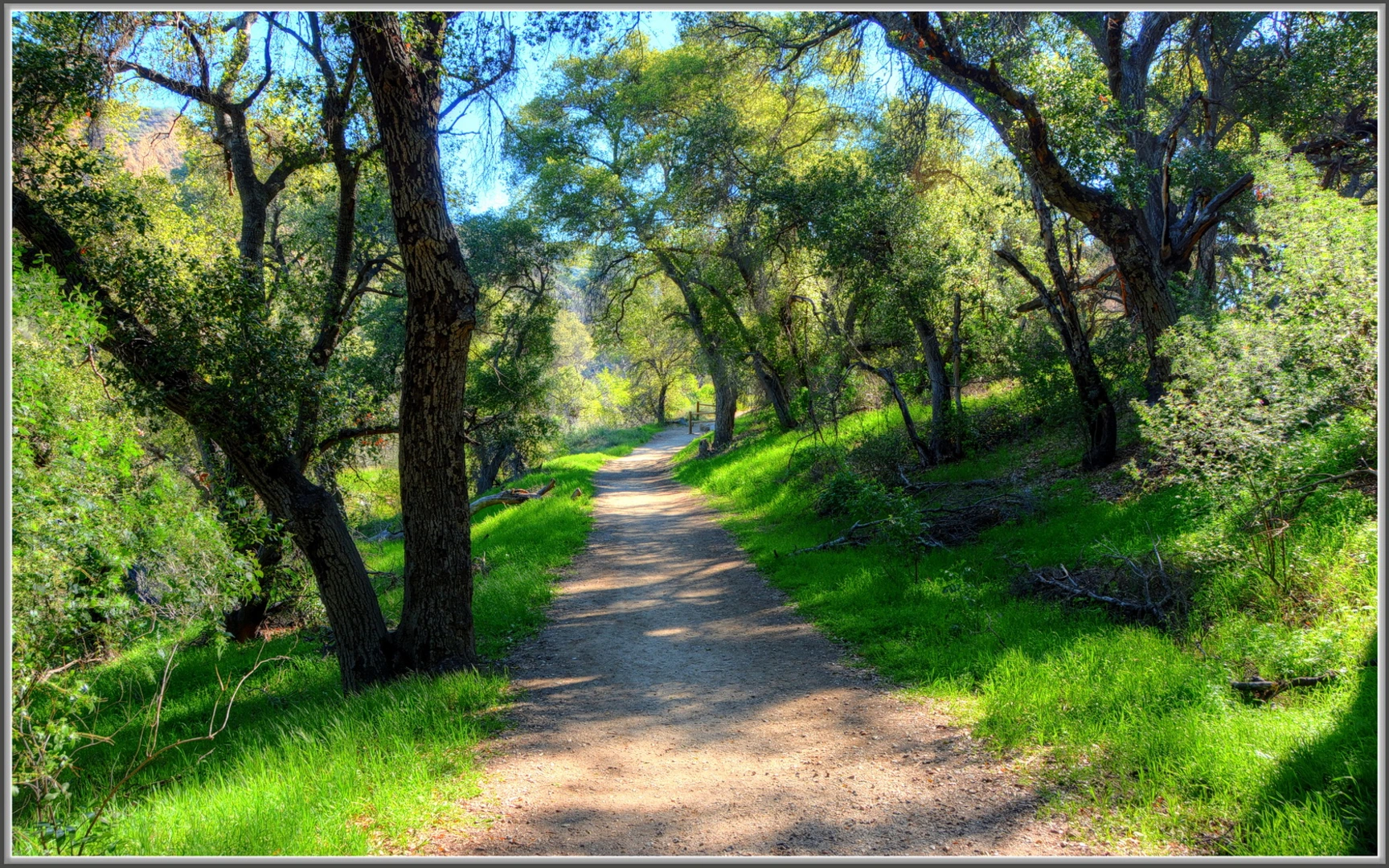 An image depicting the trail Placerita Canyon Trail and its surrounding area.
