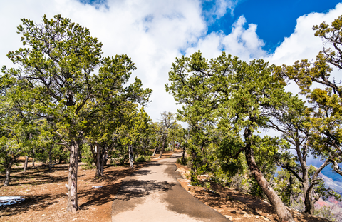 South Kaibab - Colorado River - Bright Angel Loop
