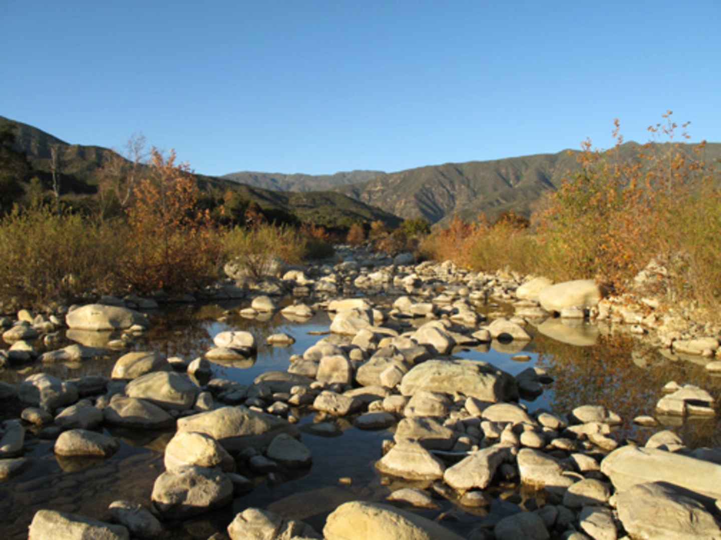 An image depicting the trail Ventura River - Upper River Loop Trail and its surrounding area.